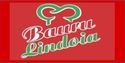 Bauru Lindóia logo