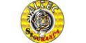 Altec Segurança