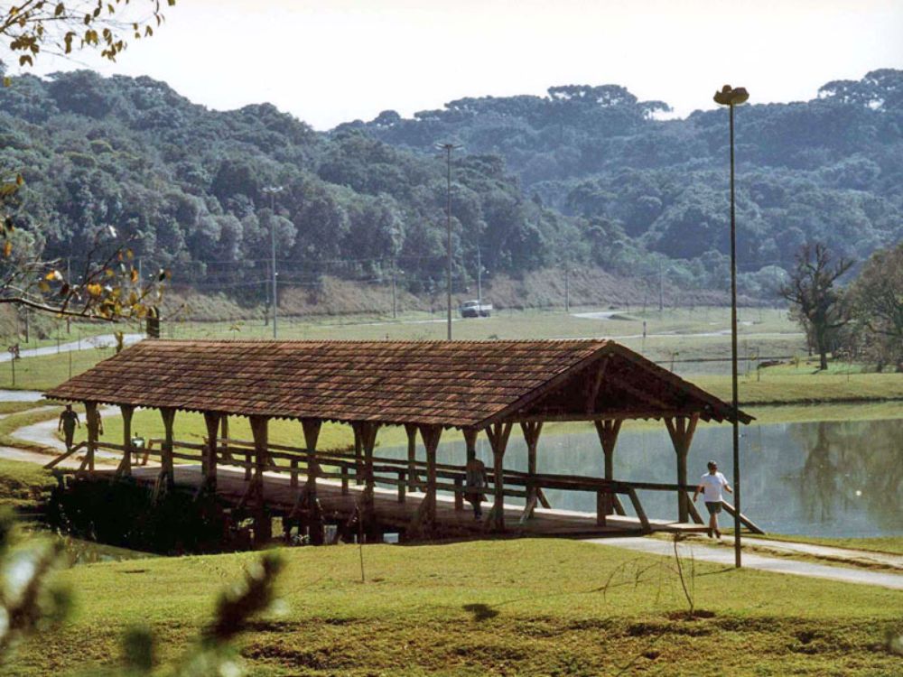 Parque Tingüi