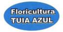 Floricultura Tuia Azul