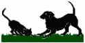 Clínica Veterinária Saúde Animal logo