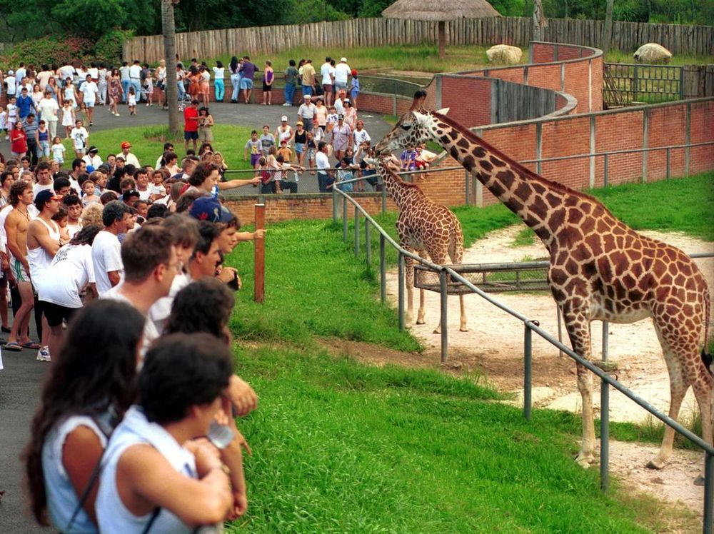 Zoológico do Parque Iguaçu