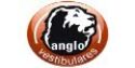Anglo Pré-Vestibulares logo
