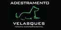Adestramento Velasques - Terapia Comportamental logo