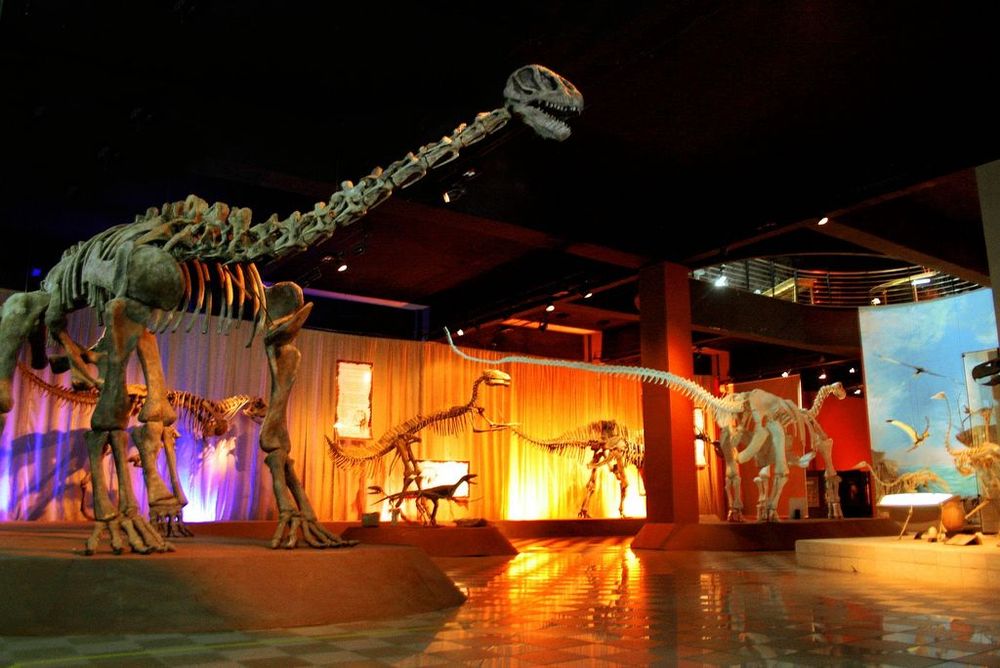 Museu de Ciências Naturais da PUC