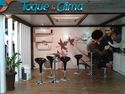 Toque e Clima logo