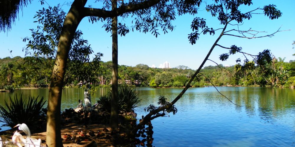 Fundação Parque Zoológico de São Paulo