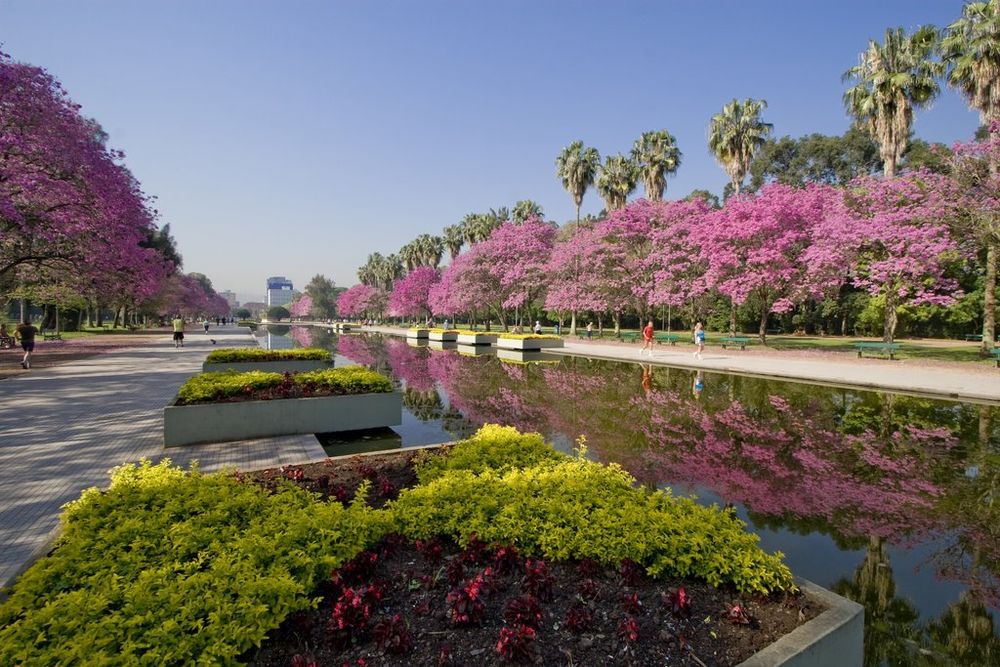 Parque Farroupilha (Redenção)