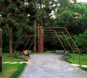 Bosque Capão da Imbuia/Museu de História Natural photo 1