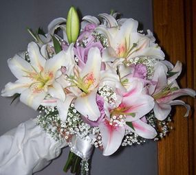 Eventos Personalizados photo 5