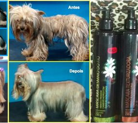 Guardião Pet Shop photo 7