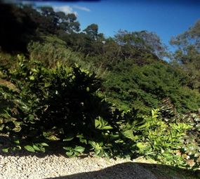 Beto Detailer Serviços e Treinamento