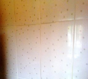 Rafael Reformas em Geral