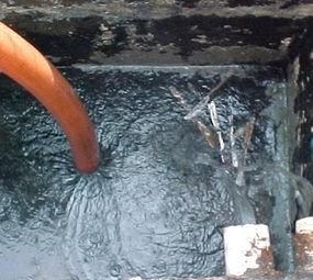 Desentupidora e Dedetizadora RS photo 3