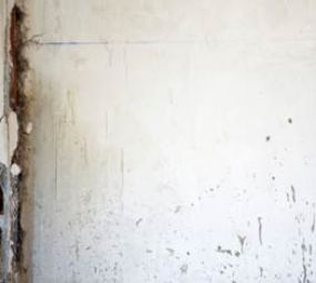 A.J.A Detecção Eletrônica de Vazamentos photo 3