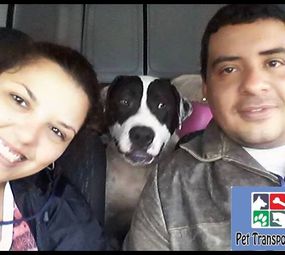 Pet Transportes