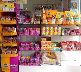 Pet Shop México  photo 4