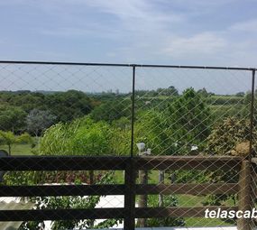 Telas Cabral photo 7