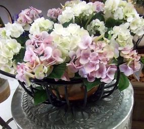 Paisagem Interior Decoração photo 8