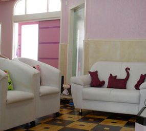 Chatterie - Centro de Saúde do Gato photo 7