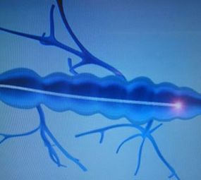 Clínica Albernaz photo 3