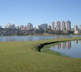 Parque Barigui photo 3