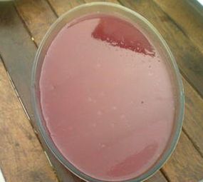 Restaurante Novo Sabor photo 4