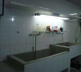 Cachorraria da Praça photo 7