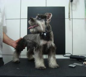 AquaFauna - Agropet  photo 6