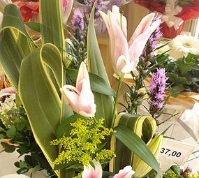 Floricultura Juvevê photo 3