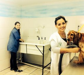 Centro Estético Animal Pierre Mancio photo 6