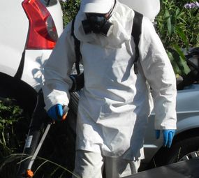 Dedetizadora Mata Tudo