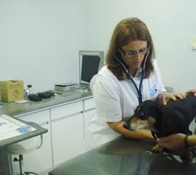 Clínica Veterinária Centro de Medicina Veterinária photo 4