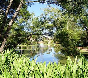 Jardim Botânico photo 2