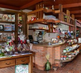 Don Benito Cestas photo 5