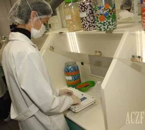 Dermo Manipulações photo 5