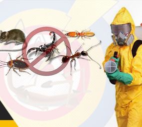 Antinset Dedetizadora e Desentupidora