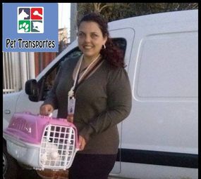 Pet Transportes