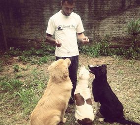 Adestrador Smart Dogs