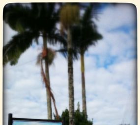 Restaurante do Paulinho photo 10