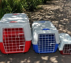 Taxi Animal  photo 7