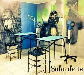 Centro Estético Animal Pierre Mancio photo 9