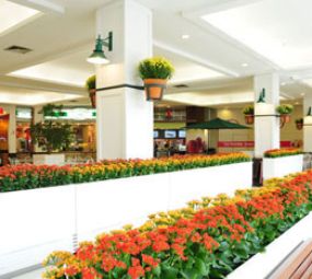 Praia de Belas Shopping Center photo 7