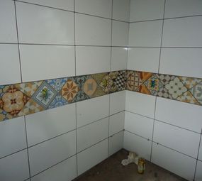 Luciano Azulegista e Reformas em Geral