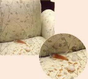  A&S Clean Lavagem e Impermeabilização de Estofados photo 5