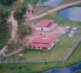 Cachorraria da Praça photo 9