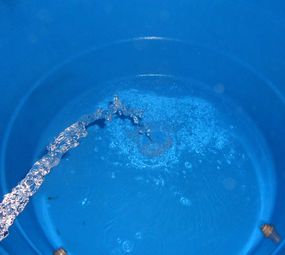 Insetsinos Imunizadora photo 9