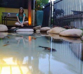 Lago Carpa - Lagos Ornamentais