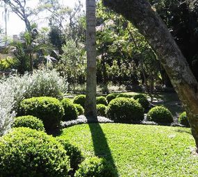 Jardinagem Pedroso
