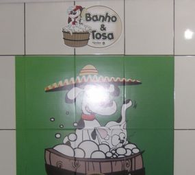 Pet Shop México  photo 8